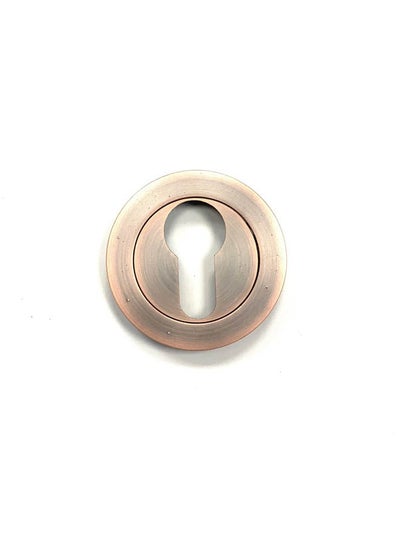 Buy Round Door Cylinder Cover Silver in Egypt