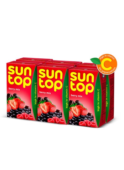 Buy Fruit Drink Mixed Berries 250ml Pack of 6 in UAE