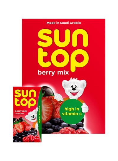 Buy Berry Mix Fruit Drink 125ml Pack of 18 in UAE