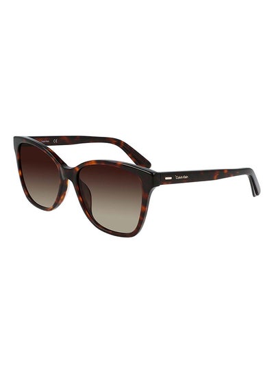 Buy Women's Full Rim Acetate Modified Rectangle  Sunglasses  CK21529S-220-5516 in Saudi Arabia