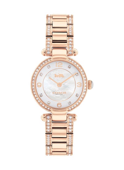 Buy Women's Cary Silver Mother Of Pearl Dial Watch 14503838 in UAE