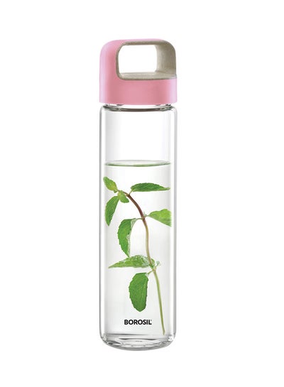 Buy Neo Glass Bottle With Lid Clear/Pink/Green in UAE