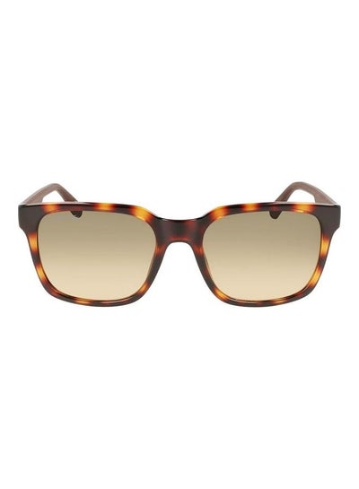 اشتري Men's Full Rim Injected Modified Rectangle Sunglasses L967S 5519 (230) Havana في الامارات