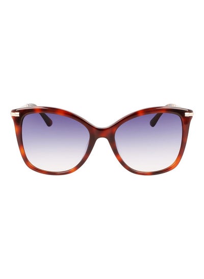 Buy Women's Full Rim Acetate Butterfly Sunglasses CK22514S 5518 (220) Brown Havana in Saudi Arabia