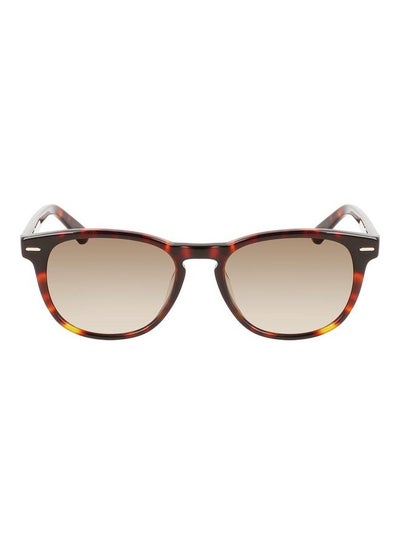 Buy Full Rim Acetate P-3 Sunglasses CK22515S 5318 (609) Burgundy Havana in UAE