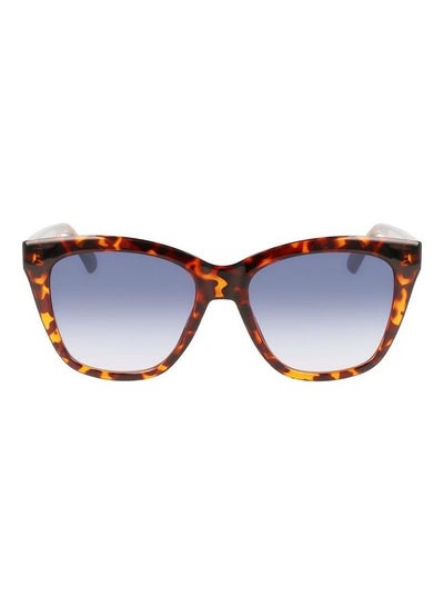 Buy Women's Full Rim Injected Square Sunglasses CKJ22608S 5417 (240) Tortoise in UAE