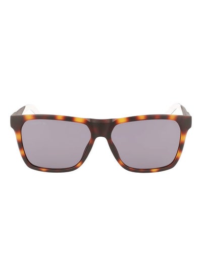 Buy Men's Full Rim Injected Rectangle Sunglasses L972S 5714 (230) Matte Havana in UAE