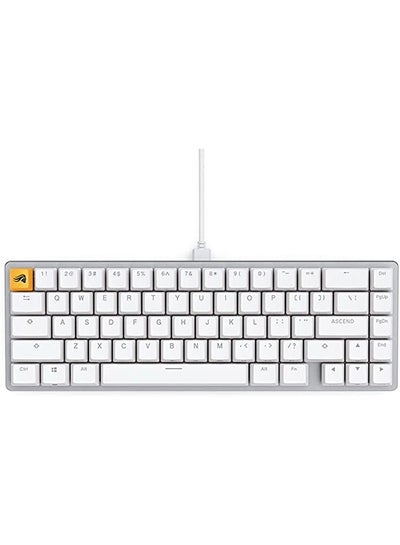 Buy Glorious Gaming Keyboard - GMMK 2 - TKL Hot Swappable Mechanical Keyboard, Red Switches, Wired, TKL Gaming Keyboard, Compact Keyboard - 65% Percent Keyboard - White RGB Keyboard in UAE