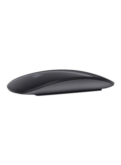 Buy Magic Mouse 2 Space Grey in UAE