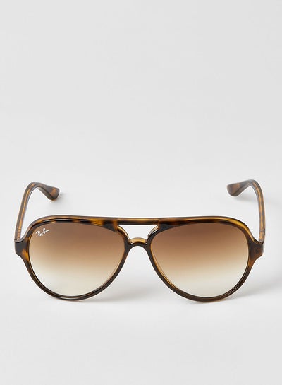 Buy Men's Full Rim Aviator Sunglasses - 0RB4125 - Lens Size: 59 mm - Brown in UAE
