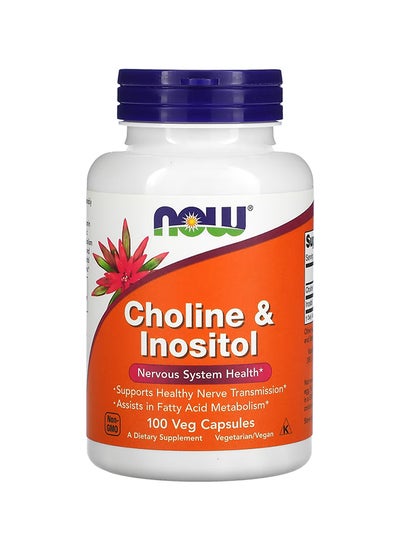 Buy Choline And Inositol Dietary Supplement 500 Mg - 100 Capsules in UAE