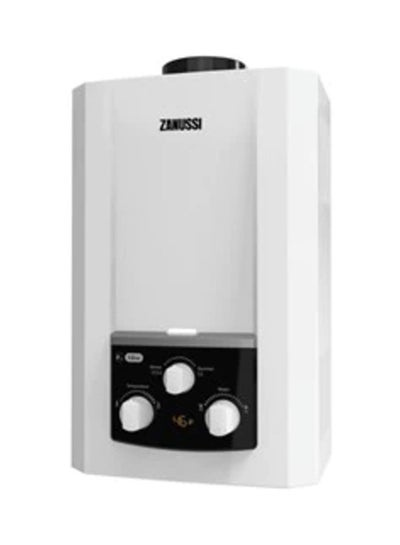 Buy Digital Gas Water Heater With Chimney   6 Liter ZYG06113WL White in Egypt