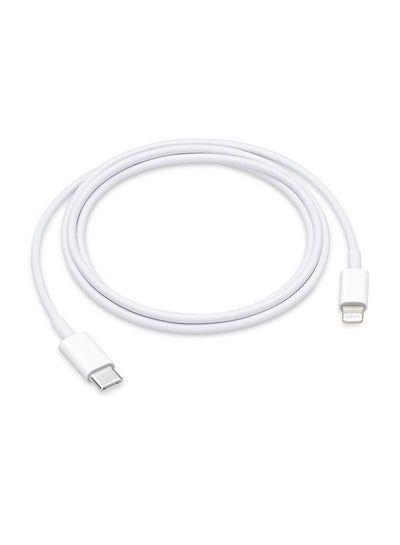 Buy Usb-C To Lightning Data Cable White in UAE