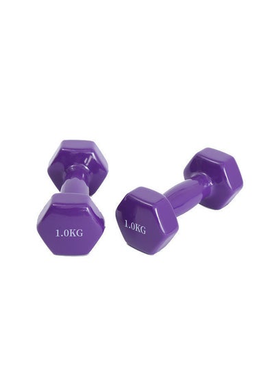 Buy Set Of 2 Vinyl Coated Dumbbell 1kg in UAE