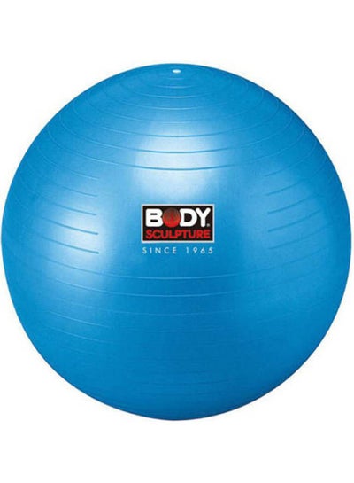 Buy Anti-Burst Gym Ball 75cm in Egypt