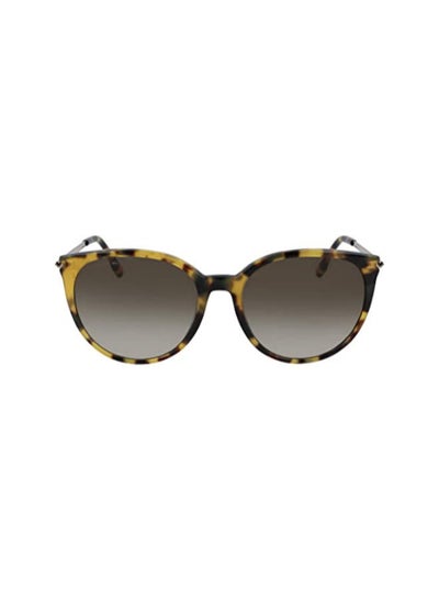 Buy Women's Full-Rim Metal Oval Sunglasses - Lens Size: 56 mm in UAE