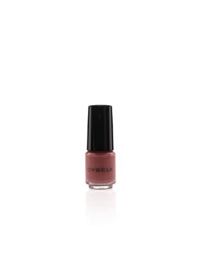 Buy Lacquer Gloss Nail Polish Rose Poudre 101 in Egypt