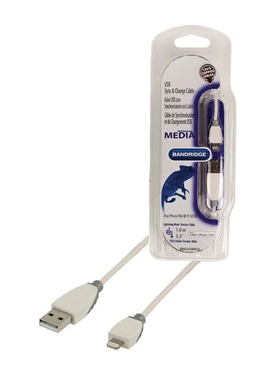 Buy Be Blue Lightning To USB Cable White in UAE