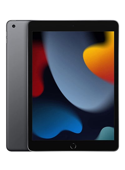 Buy iPad 2021 (9th Generation) 10.2-Inch, 256GB, WiFi, 4G LTE, Space Gray With Facetime - International Version in UAE