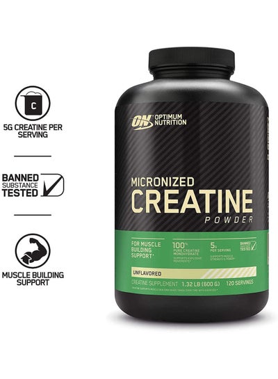 Buy Micronized Creatine Monohydrate Powder for Muscle Building Support - Unflavored, 600 Grams, 120 Servings in UAE