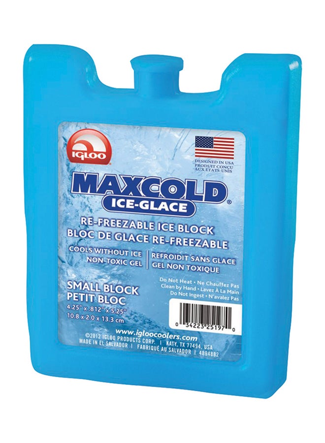 Igloo best sale ice block