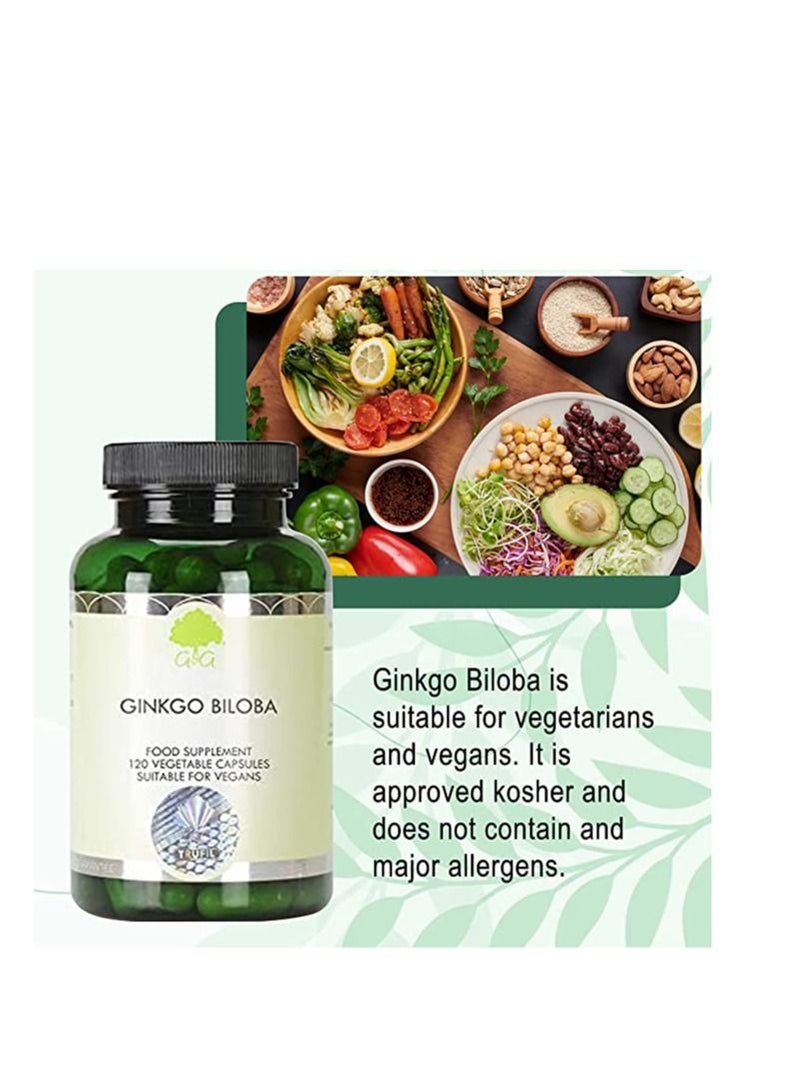 Shop G&G Ginkgo Biloba 400mg VEGAN High Strength 120 Capsules online in  Dubai, Abu Dhabi and all UAE