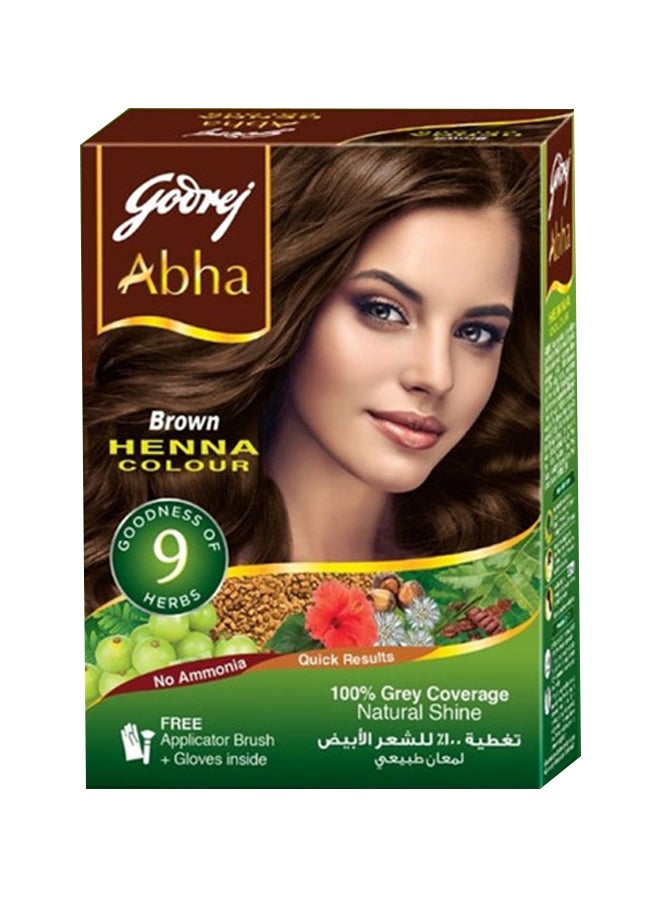 Shop Godrej Abha Henna Hair Color 100% Grey Coverage Brown 60g online in  Dubai, Abu Dhabi and all UAE
